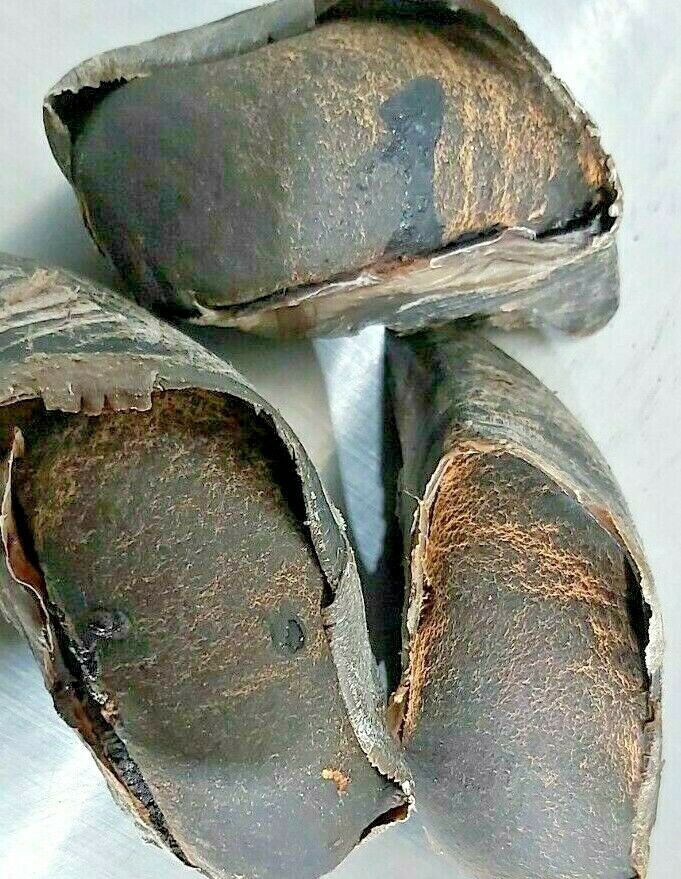 57_fccb252b-599f-4a9c-9e62-d4ede6629b7d 57_fccb252b-599f-4a9c-9e62-d4ede6629b7d