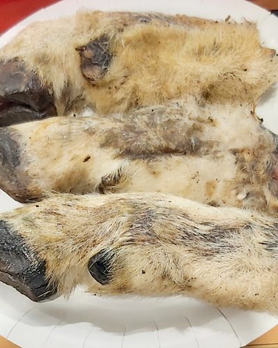 sheep feet w hair 3